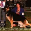 SEL CH Covy-Tucker Hill Rem Sendaria TC CGC OFA H/E